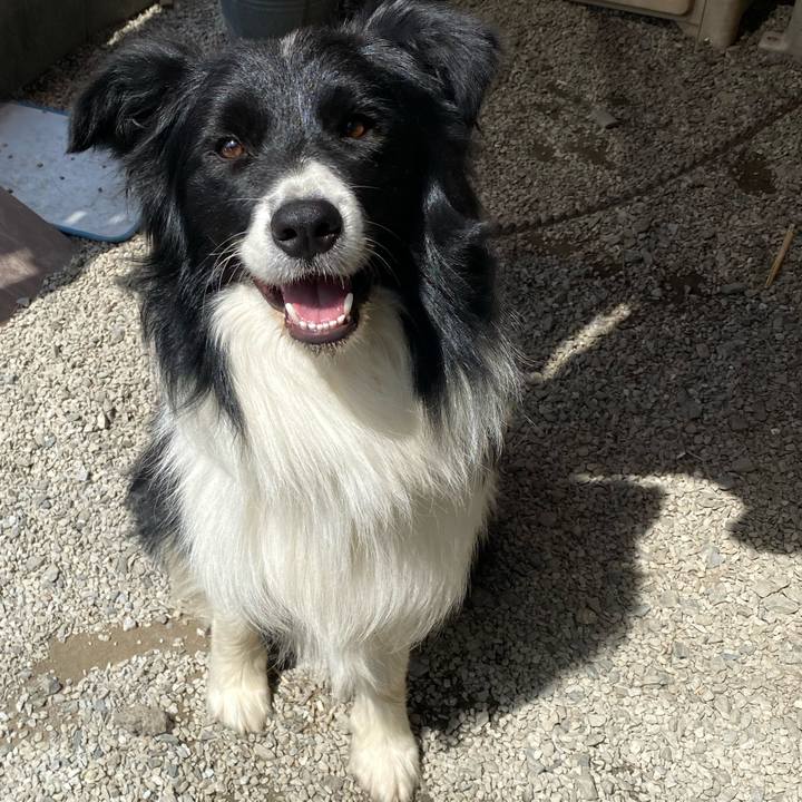 3aa715c4 8d2d 4024 bb43 56adb2b1c9e8 1653726223216