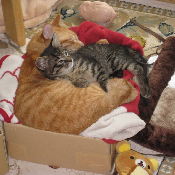 3aa7253d 874f 41f1 9655 30d16446f927 1552226927689