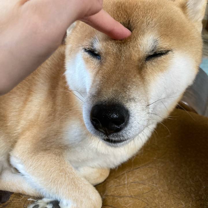 3aa738e5 99e1 4064 8a3d 4d1631a3b414 1669174762178