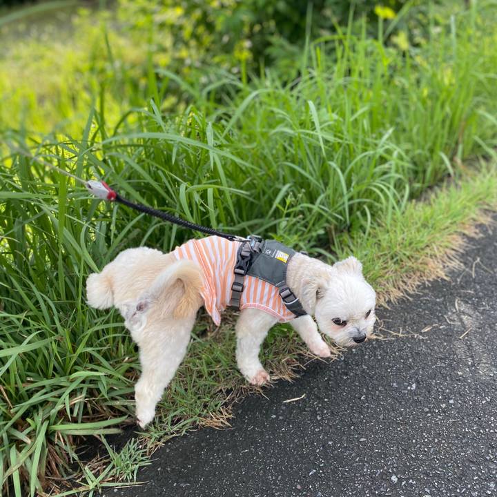 3aa78dc7 2546 4fb8 bb77 da662502f269 1599351224918