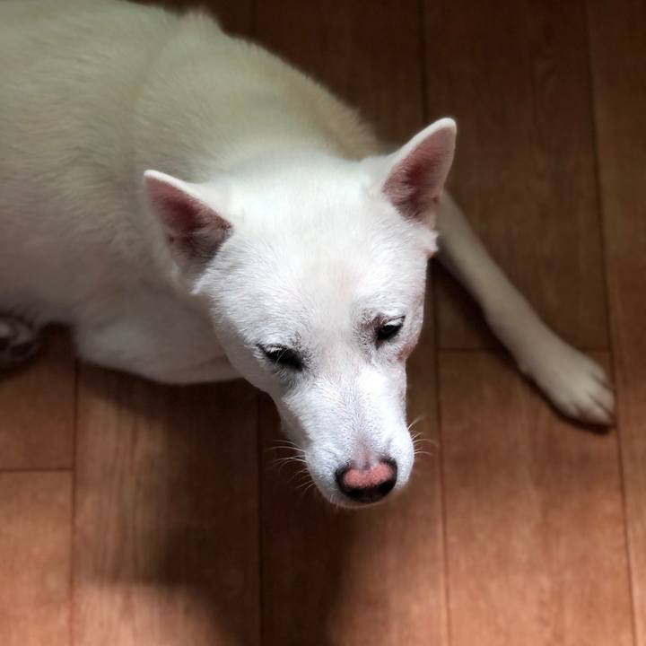 3aa79a16 782e 4f6e ac87 2f6c689bf27f 1586097977742