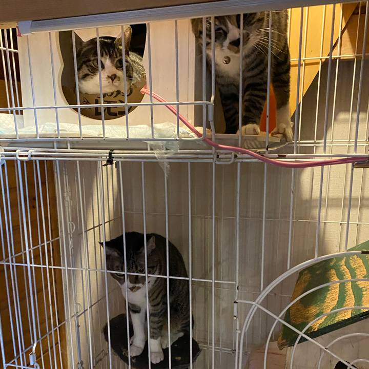 3aa7cb94 70b0 4013 a149 2a323b3e1918 1707028852160