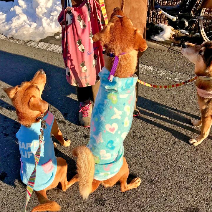 3aa7fee9 6e72 42f8 b3d4 f50f86a558de 1517051963661