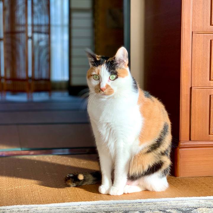 3aa811f3 56e0 455b 8ce9 871e27bfcc4b 1770283116423