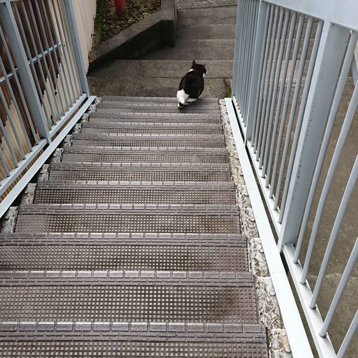 3aa826be 6d32 4d0c 9970 ddcf902e8df5 1626219240934