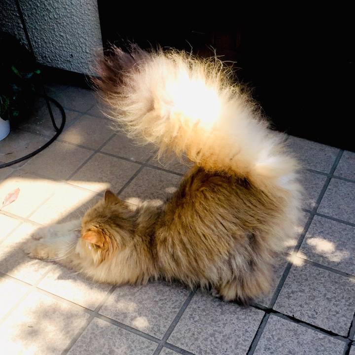 3aa8486b bfbb 4188 96a7 8a48fd32cfaf 1556801277321