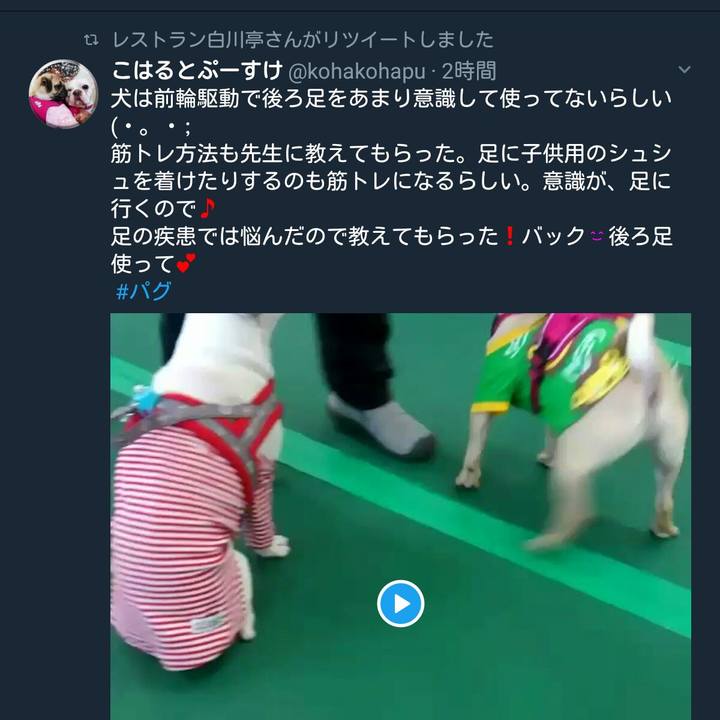 3aa85a72 57dc 456a 8695 c1908e47c136 1520345995745