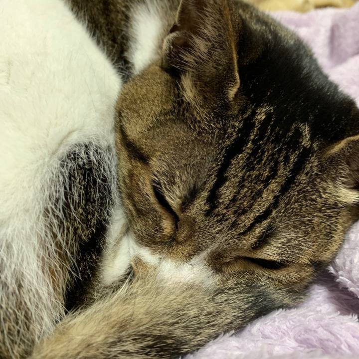 3aa862fa f00c 4a18 8048 e83f3db818a0 1553561201531