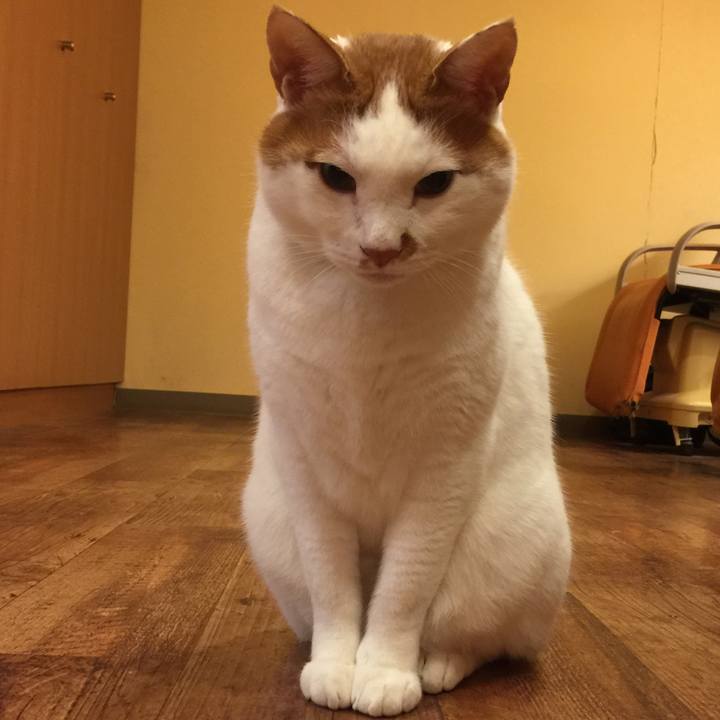 3aa8a5c3 f1db 4898 a4a9 ad2ae6b43cfc 1562468470523