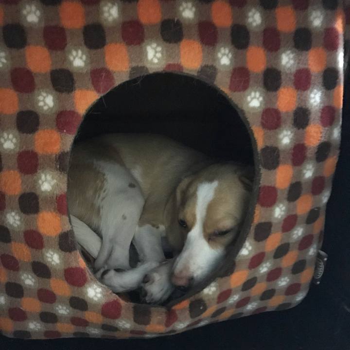 3aa8a947 8f05 4c4d 99fd 43ec039764ac 1538968034229