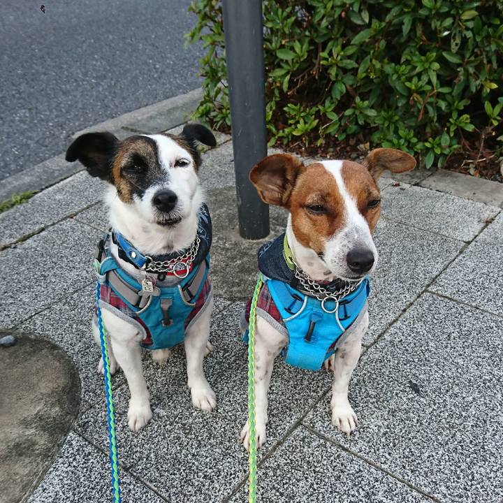 3aa8c593 0ca0 496c bfcc f3323fe0ad4c 1601682857403