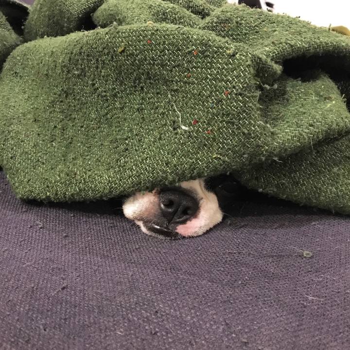 3aa8d180 4f1d 40da a71d a311e109422e 1518950958410