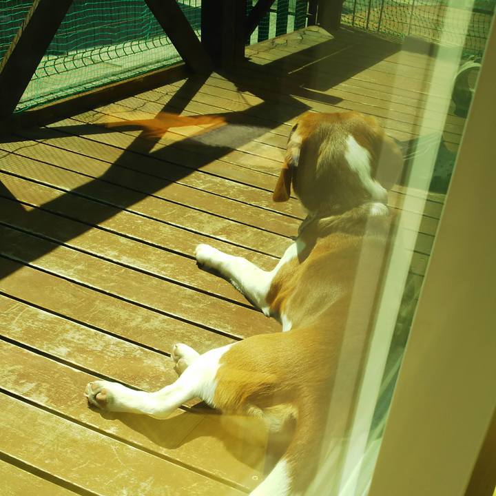 3aa8d4cd bc2e 453b a82b 18d800e89644 1586490030115