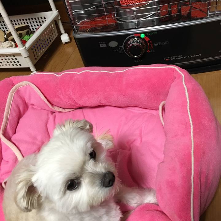 3aa8ffba 8643 4aca 836e 65aec19bac77 1509357427487