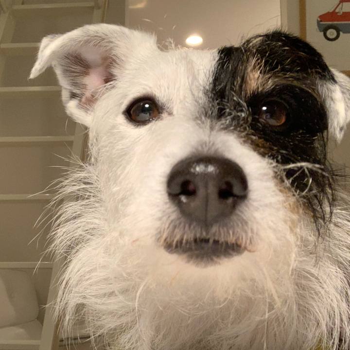 3aa90dbf 147d 49ce afa6 55c48c4e4b46 1647430846704