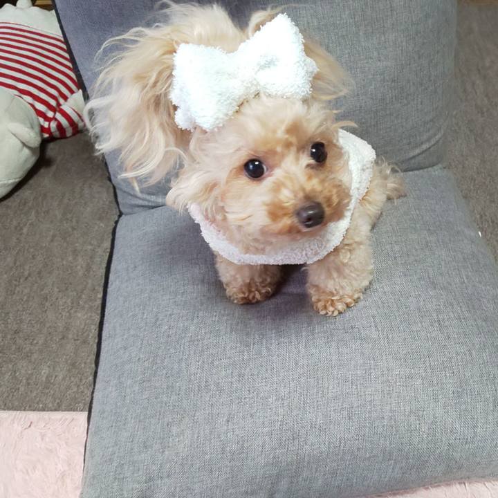 3aa942c9 1342 41a8 aac7 82a995b5945c 1575034122435