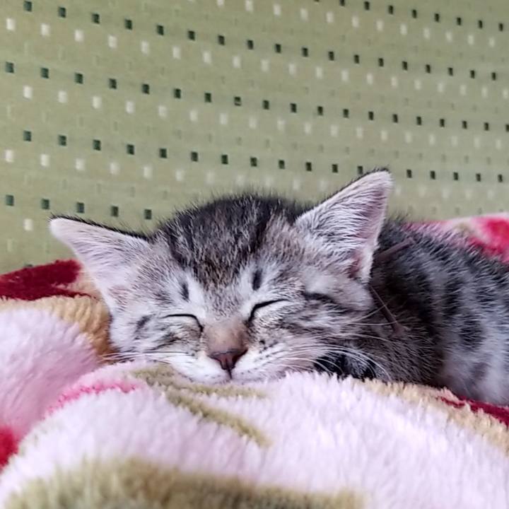 3aa96754 826a 4d3d a6cb 822ff8048f7f 1661490927061