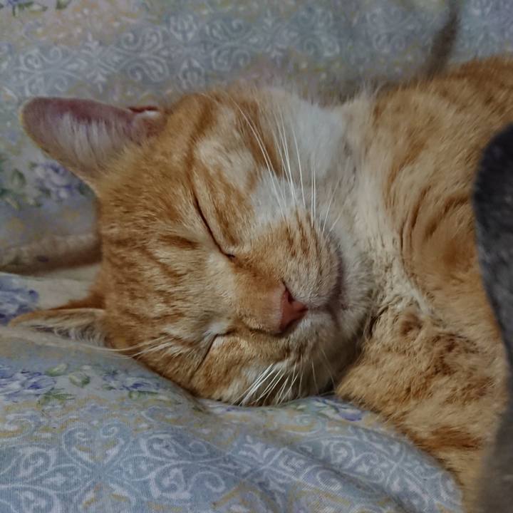 3aa96cf9 9b25 4f03 bc23 13e651b383a3 1578750554175