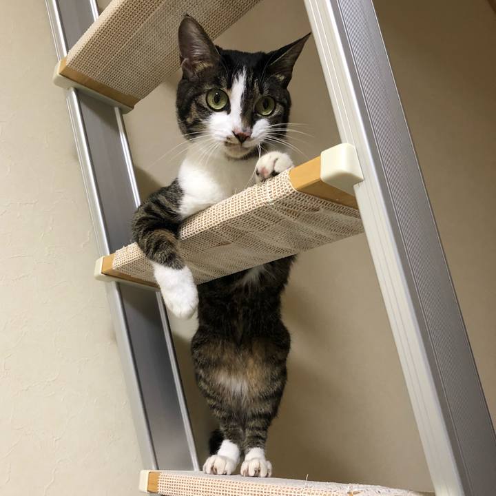 3aa98806 80df 41cd 8ef5 d102d3b2c43b 1612211483187