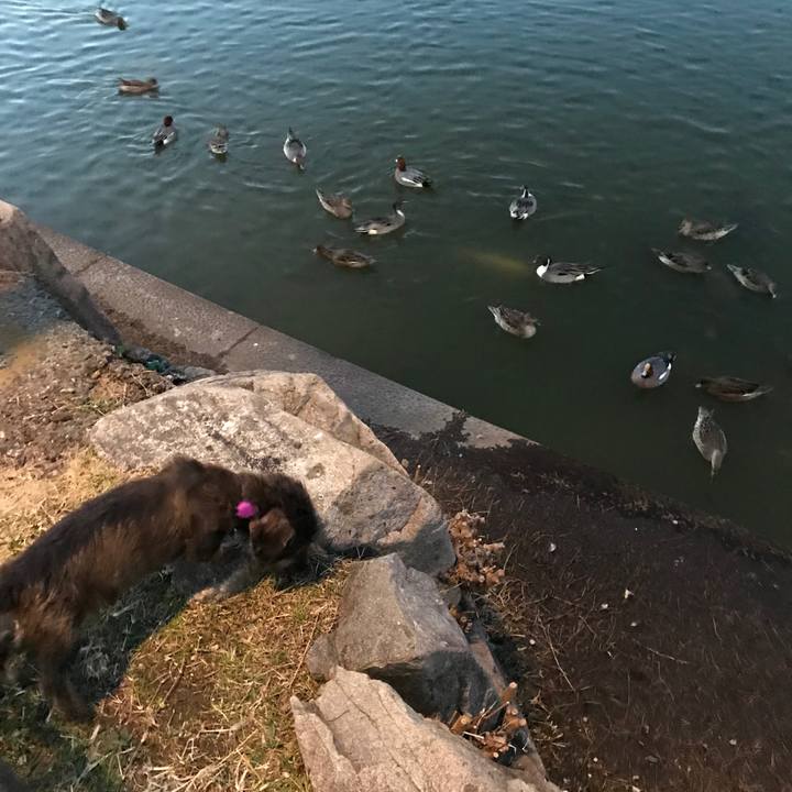 3aa9b115 cb61 4481 941a 8b600714e576 1552133249286