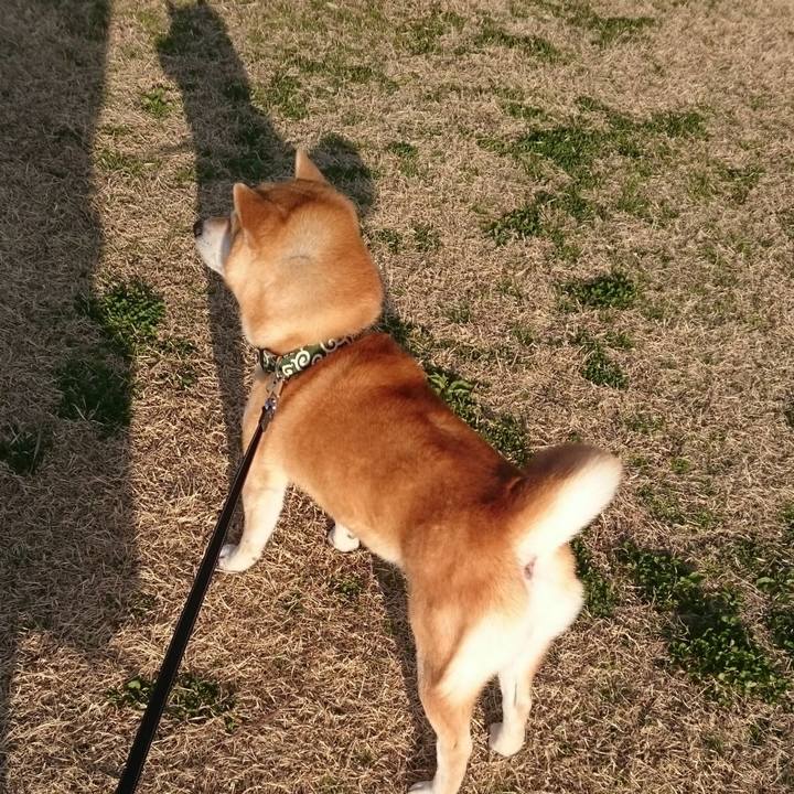 3aa9cef5 f576 446f 95c5 896f4c016a4f 1768556721155