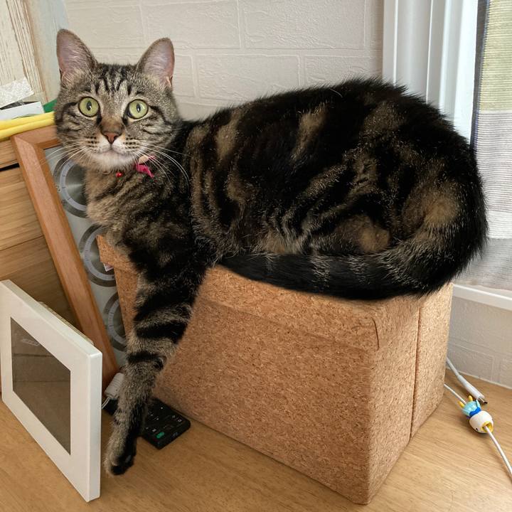 3aa9d3ea b4c9 43f8 9981 3d19807755d6 1625376052043