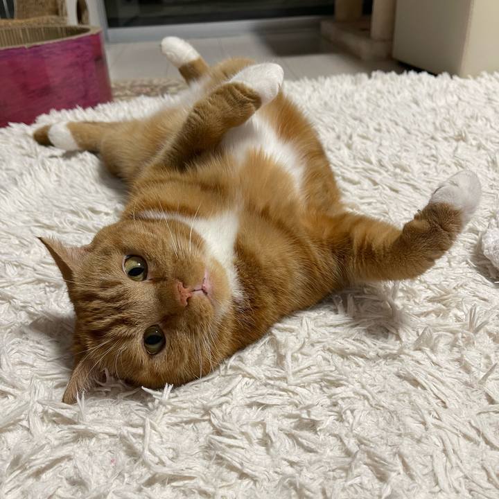 3aa9e50c 5efc 4539 8115 e4d09878d0d8 1700393929388