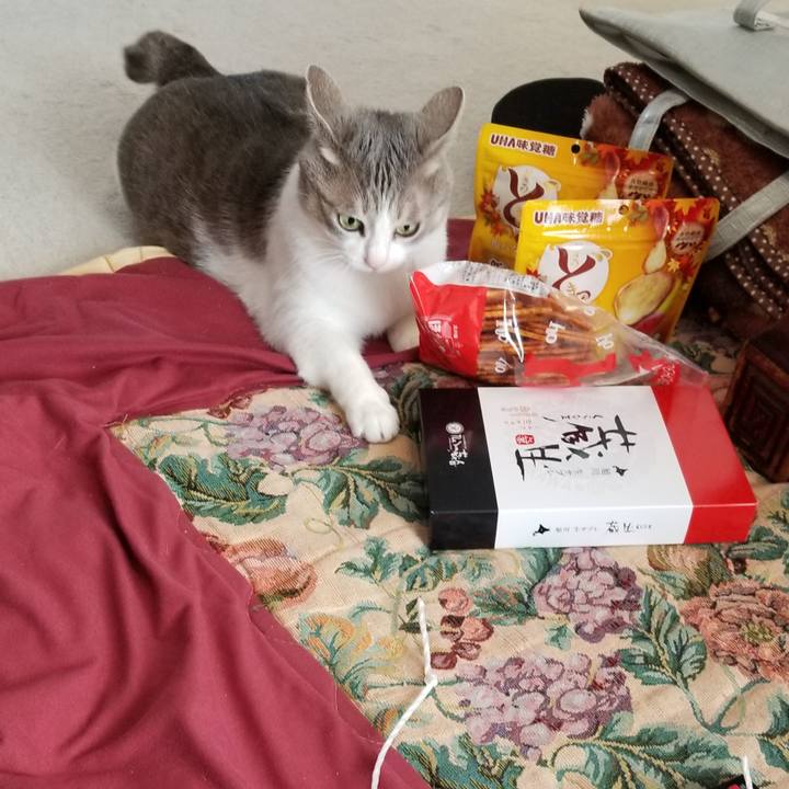 3aa9eb52 bfd9 4163 84c0 0a58f246ac44 1640676936870