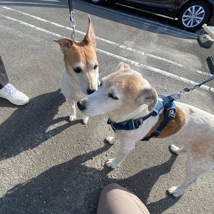 3aaa3e22 9919 48d3 80d8 0747fc40a457 1668836168708