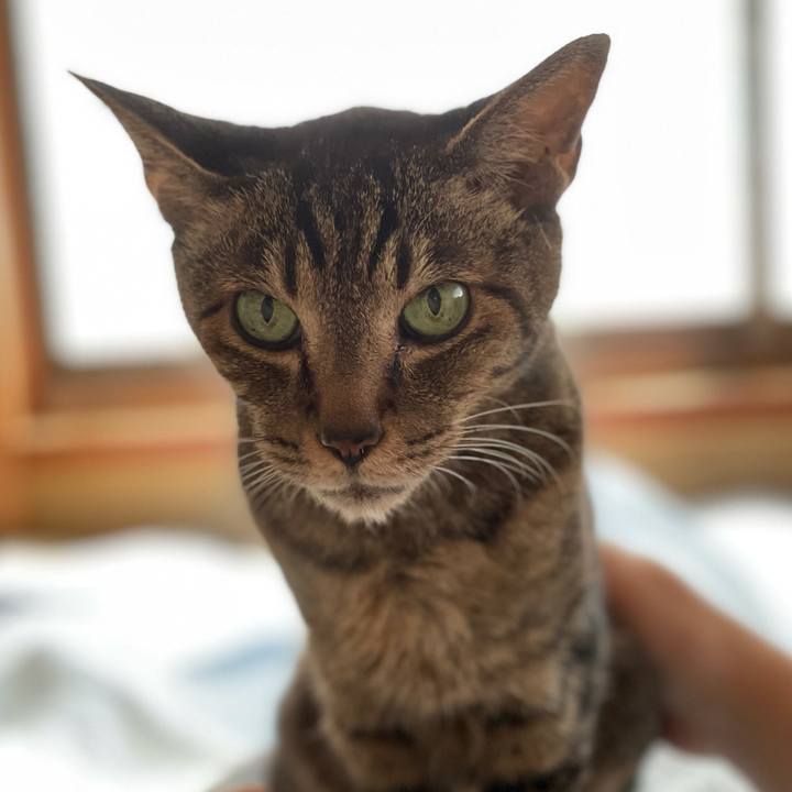 3aaa55c4 a357 40c3 867a 0743e409a5fc 1627949072245