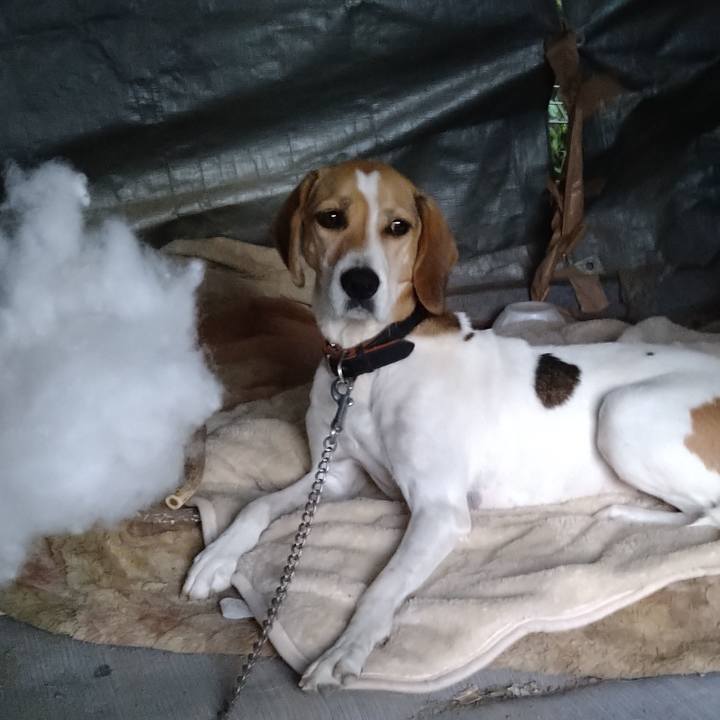 3aaa6098 accb 4a85 8a37 8d832c5c9532 1665052349767