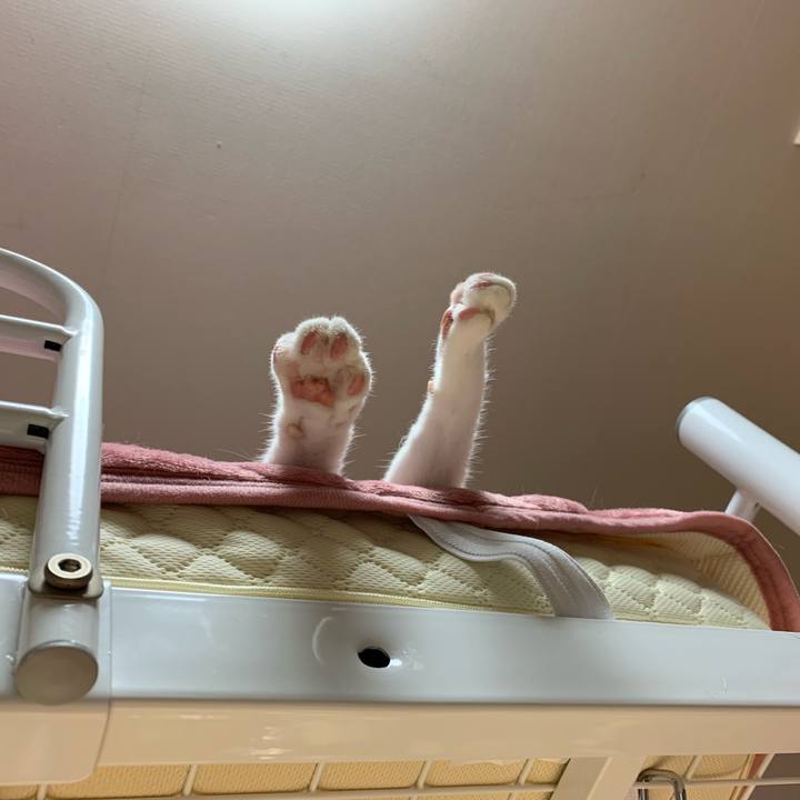 3aaa7b73 2856 4d80 8e5e 0a95fe0eeb95 1561648385238