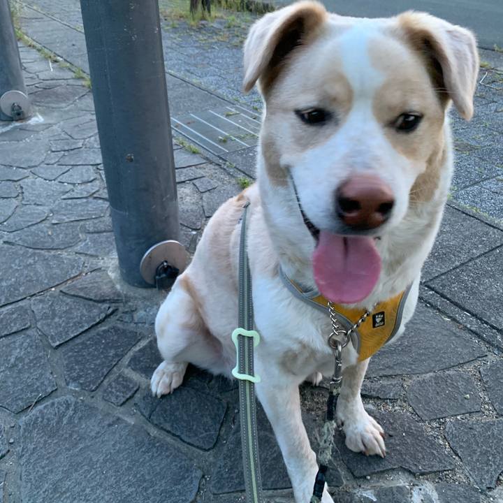 3aaa7fec b2ee 4c4e 92ad f4c27533055d 1558785429876