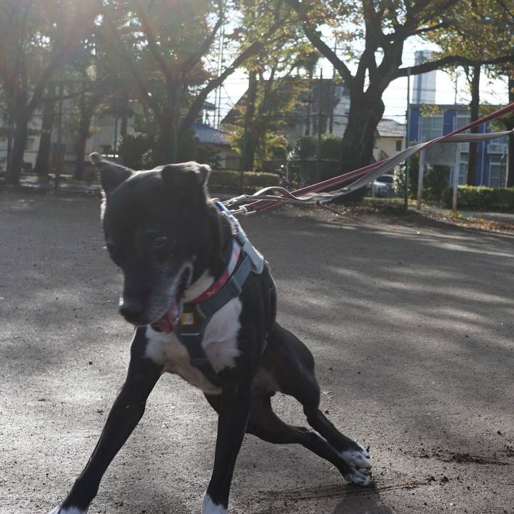 3aaac3d6 c568 4fd3 ab8b 54b9477f20fc 1761957626880