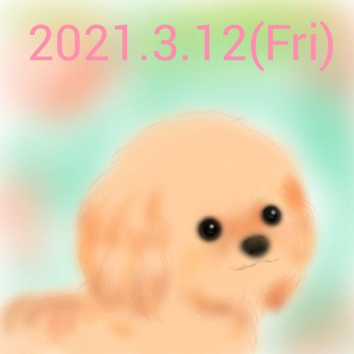 3aaaede7 d774 4005 82ba a763d9745bf0 1615548075667