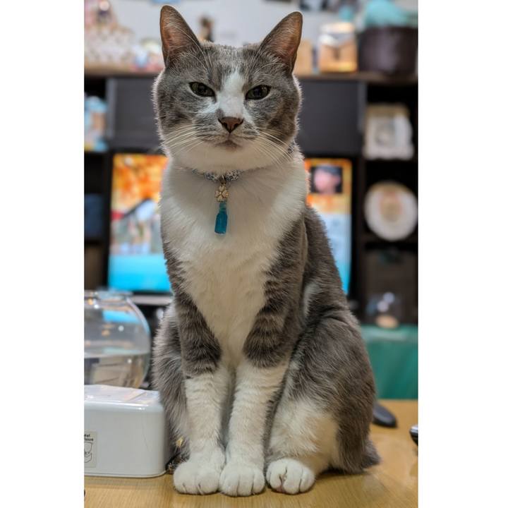 3aaaf634 fdc5 4929 96ae 8a1081811f7a 1733748125444