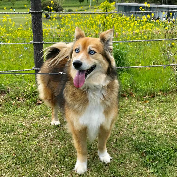 3aab235f 5afd 4a81 b450 8eb00d38efa4 1523167543556