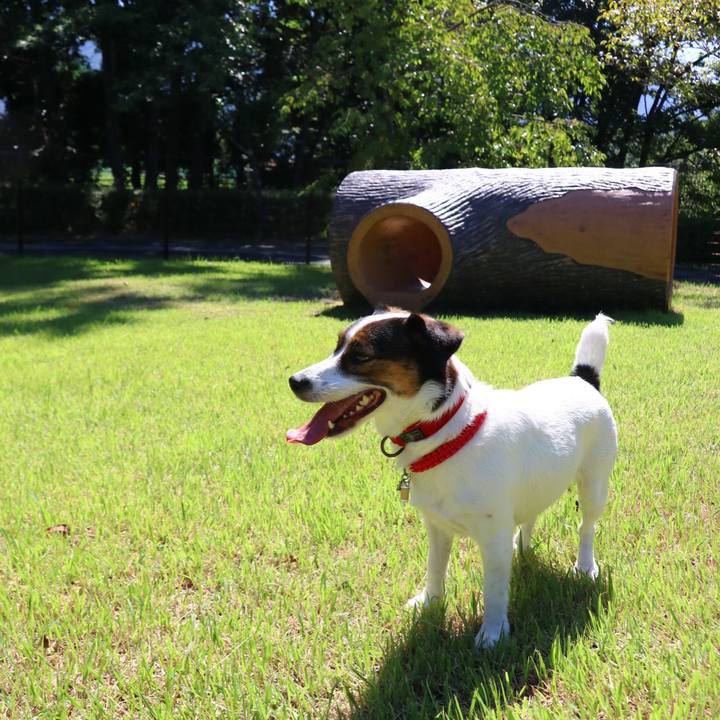 3aab4525 aa6b 40c8 8766 89c87c116c93 1568444210351