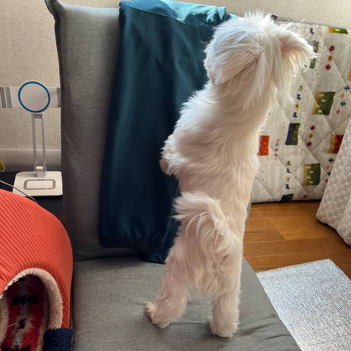 3aab5000 b862 40c6 9e45 f98fe58d6308 1707720207582