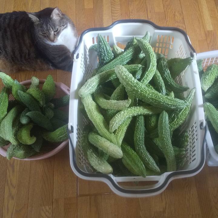 3aab9459 cb64 461b a84f e968ff3c2d04 1756951936206