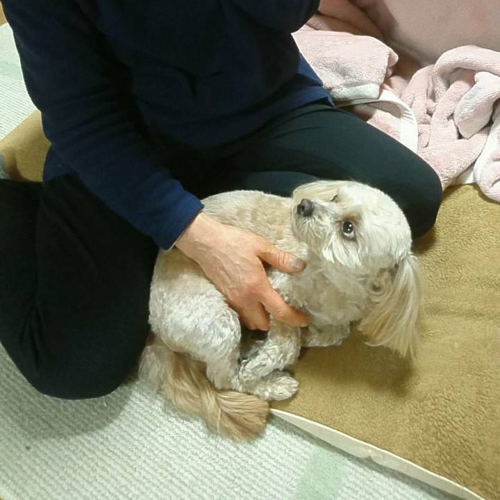 3aaba0b2 27cc 46d8 91bd a0172f224b33 1517318677419