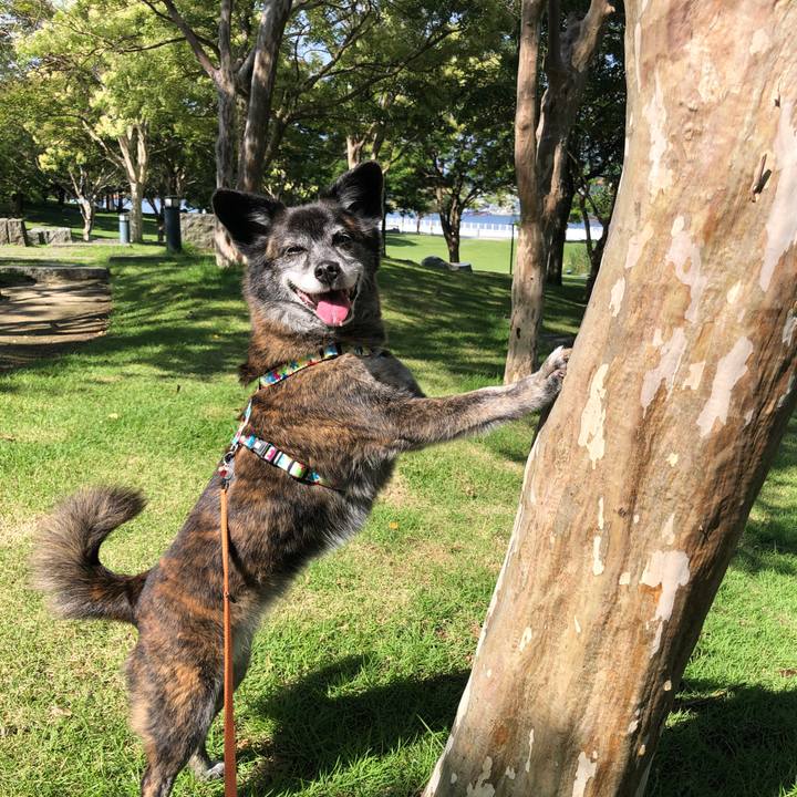 3aabad2b de85 4618 89d3 06366134f6e4 1690338255261