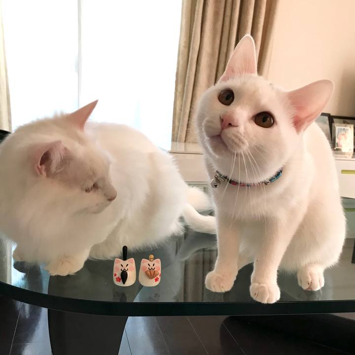 3aabe885 afe0 4abe 9be6 a87158856744 1583186948917