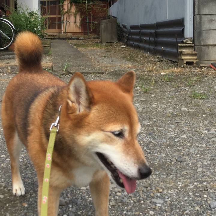 3aabf67c 39b9 4074 8737 449fff1e97fb 1566620972461