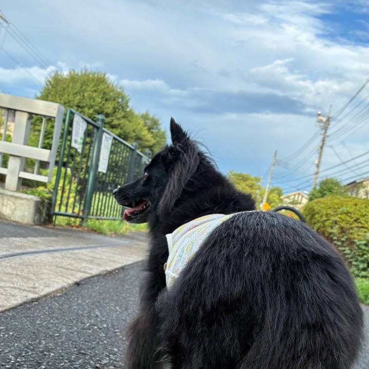 3aabfbac 5607 4fc9 8851 2af592a9b331 1757549951868