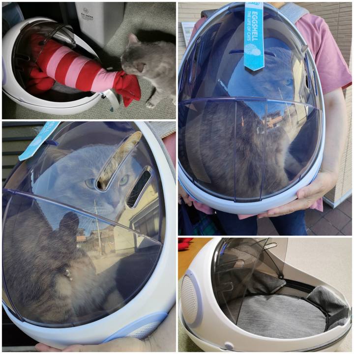 3aac0e1e a863 4b51 9520 cbcaf1ebffca 1653832804036