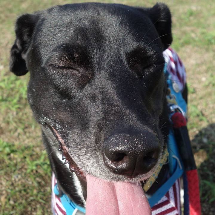 3aac10ac 8a19 4bcf bdcf 536dca9474cd 1624837396906