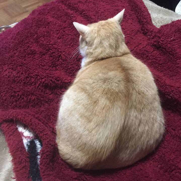 3aac2194 15eb 4aa9 a195 d5b4b27c0579 1516891445850