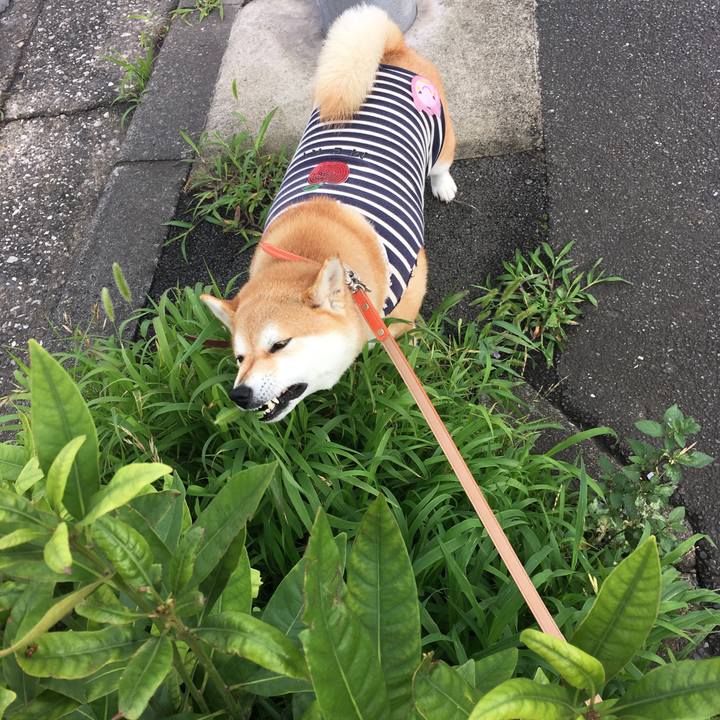 3aac319c 561c 423b a70a 8ed7b083ad3f 1562975262758