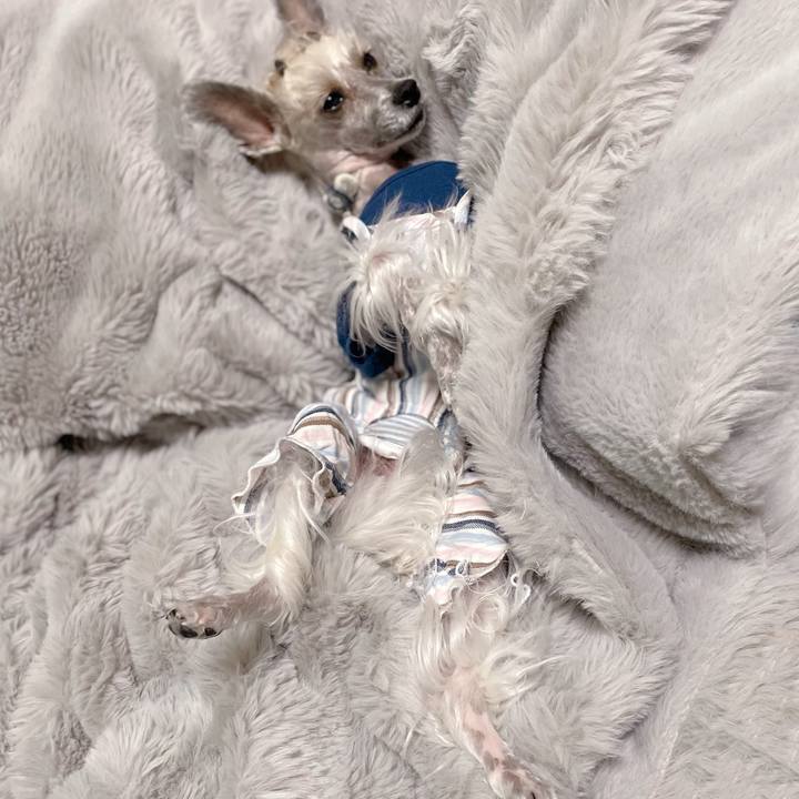 3aac35fe ce66 4e0c 883d ab39a7625d3c 1760516814205